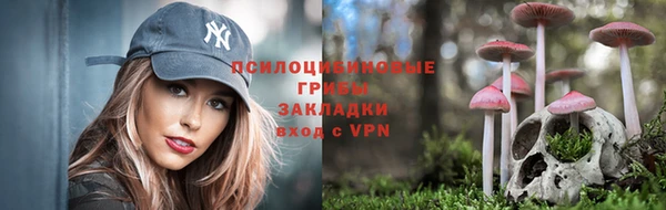 ALPHA-PVP Алексеевка