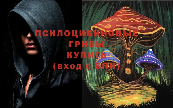 синтетический гашиш Арсеньев